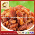 Export Standard Golden and Green Raisins in Hot Selling